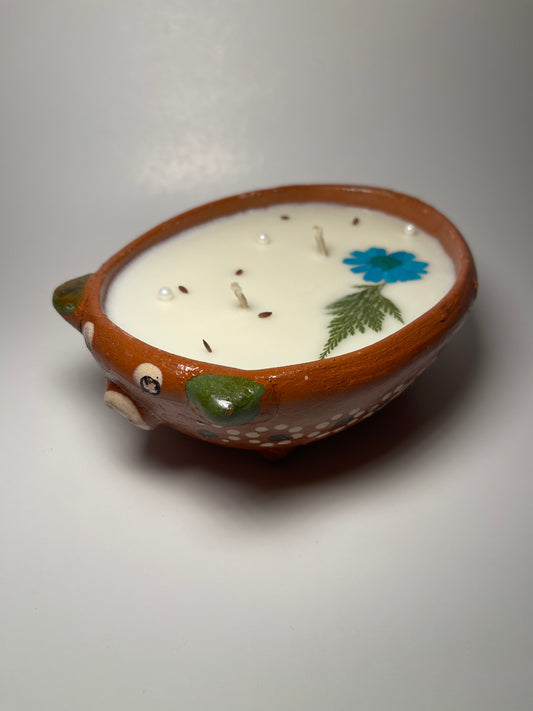 Agüita de melón